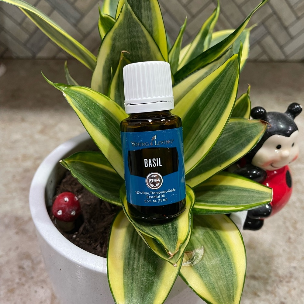 Young Living Essential Oil bundle
